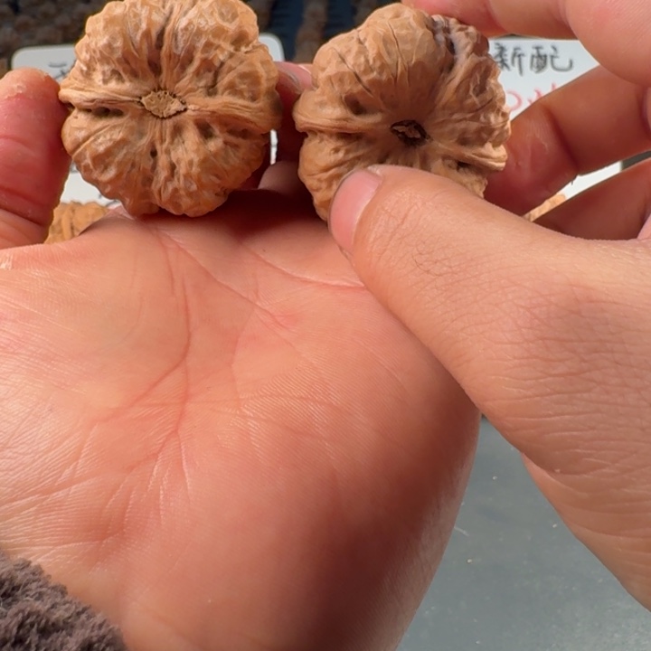 常***边吊坠文玩核桃蛤蟆的眼睛是真的好看啊我的天