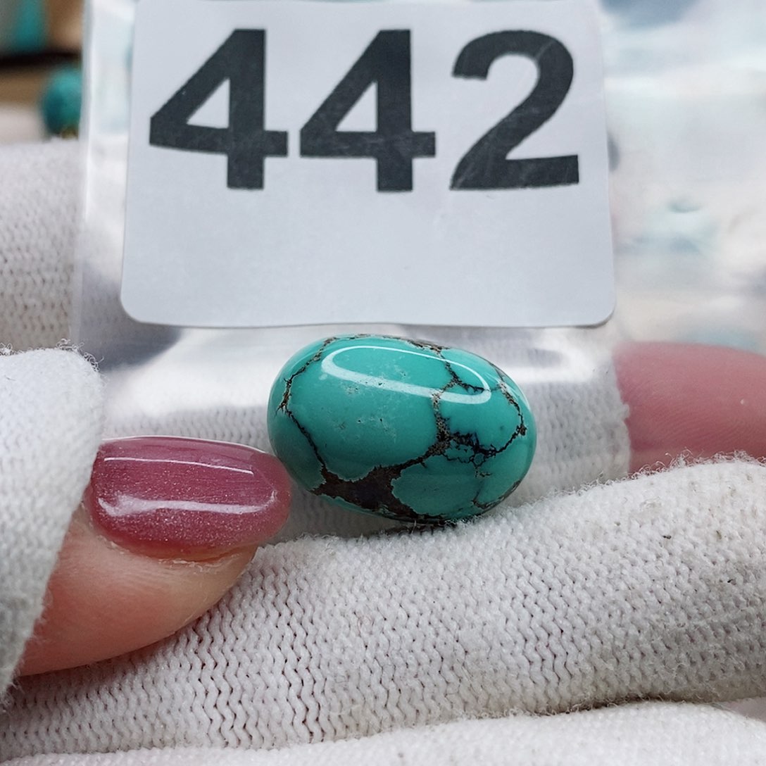 绿松石颈饰未镶嵌