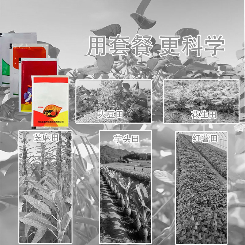 1大豆花生红薯芝麻不影响作物生长有机质肥料