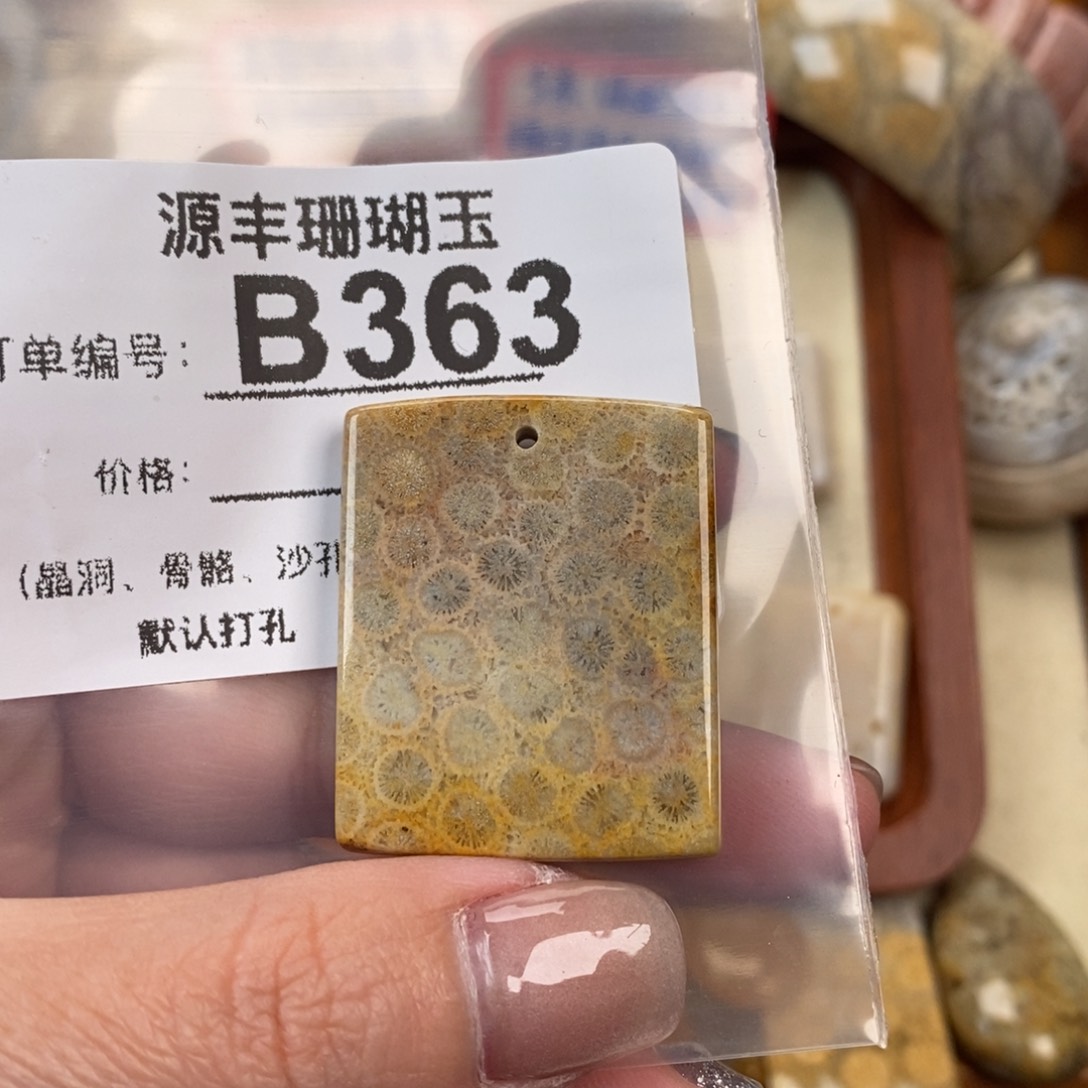 硅化玉颈饰未镶嵌L*-