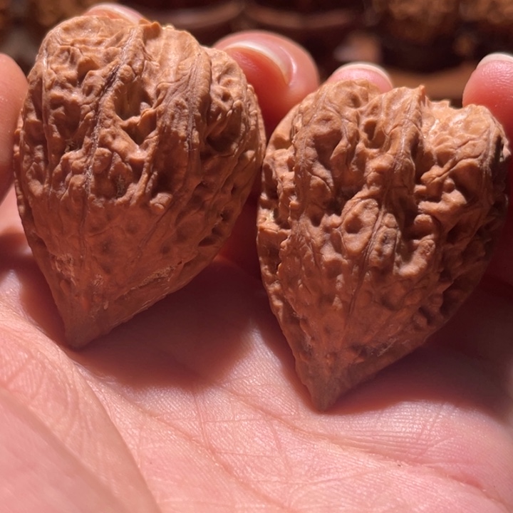 吊坠文玩核桃楸玥核33