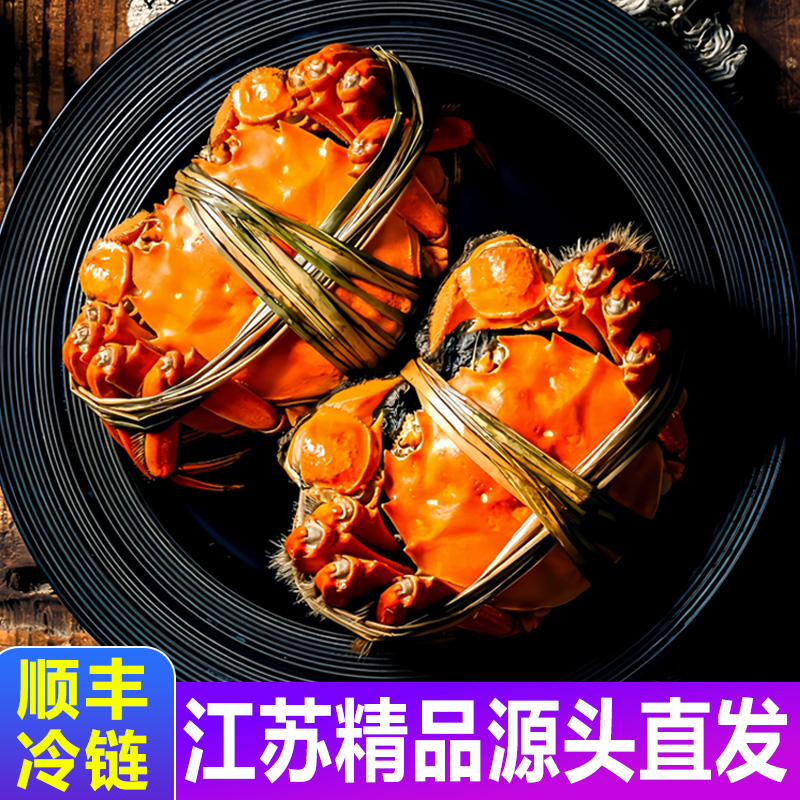 【活蟹】全公蟹3.8-3.5两6-10只 江苏精品大闸蟹 净重 礼盒装顺丰DJ