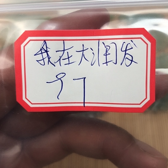 蛇纹石玉颈饰合金我****鱼
