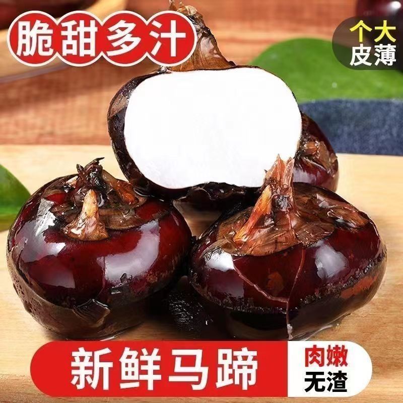 广西桂林荔浦新鲜牛奶马蹄脆甜无渣荸荠农家现挖农家水果特产
