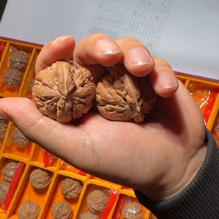 文玩核桃把件1025号全品霸王龙40mm以下