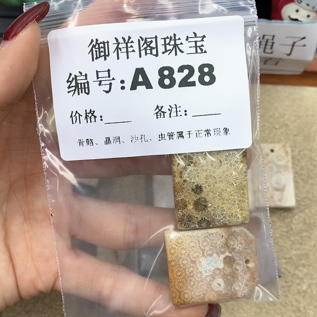 硅化珊瑚（珊瑚玉）A未镶嵌君*