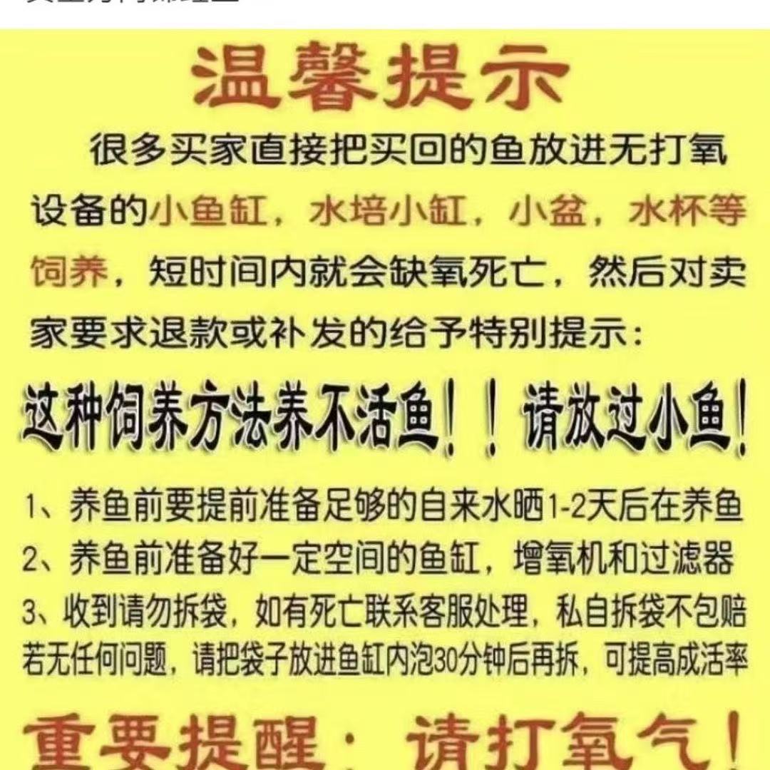 《小凯家金鱼》冷水血鹦鹉改价链接