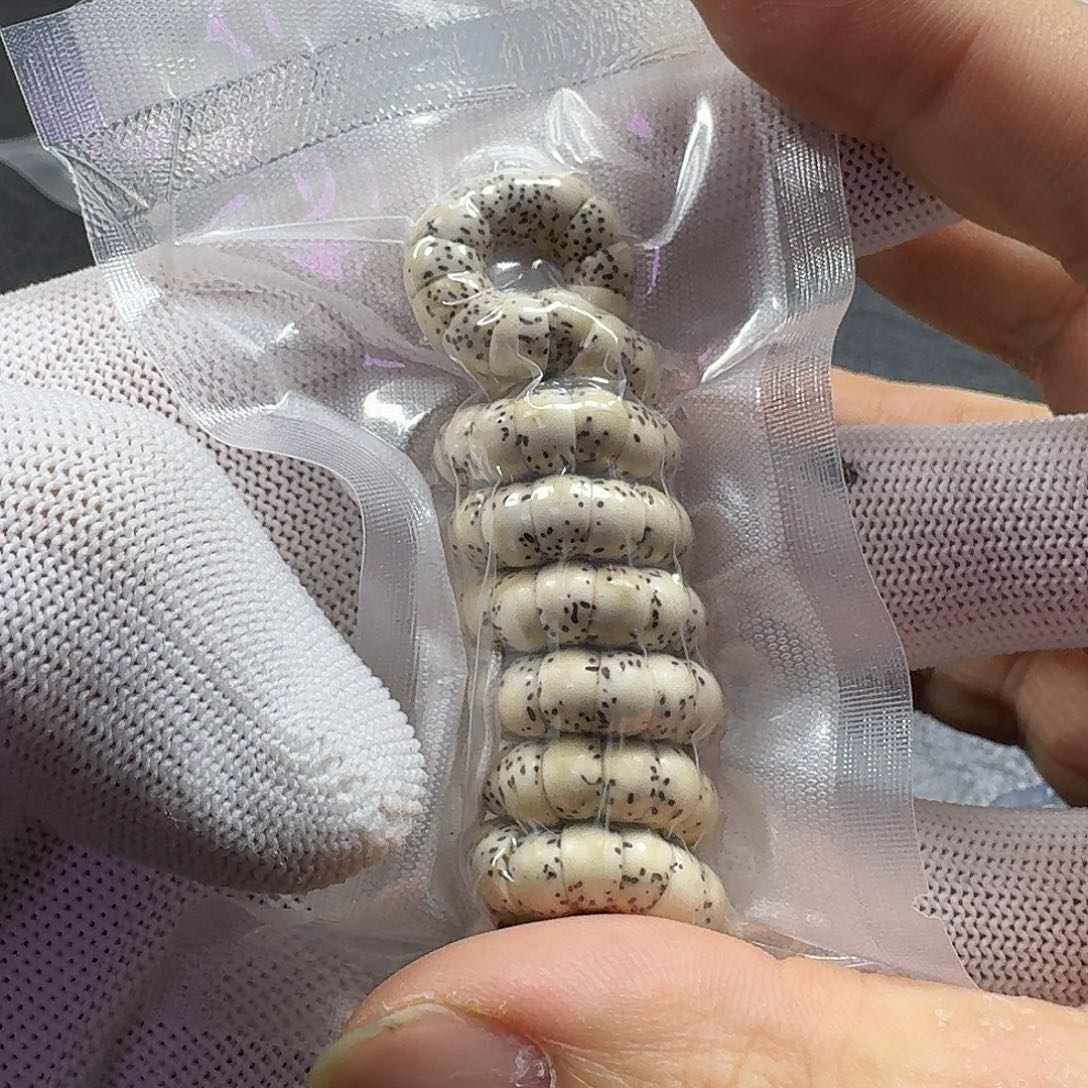 星月菩提手串?**?星月菩提7mm原生态大肠（氧化走色）