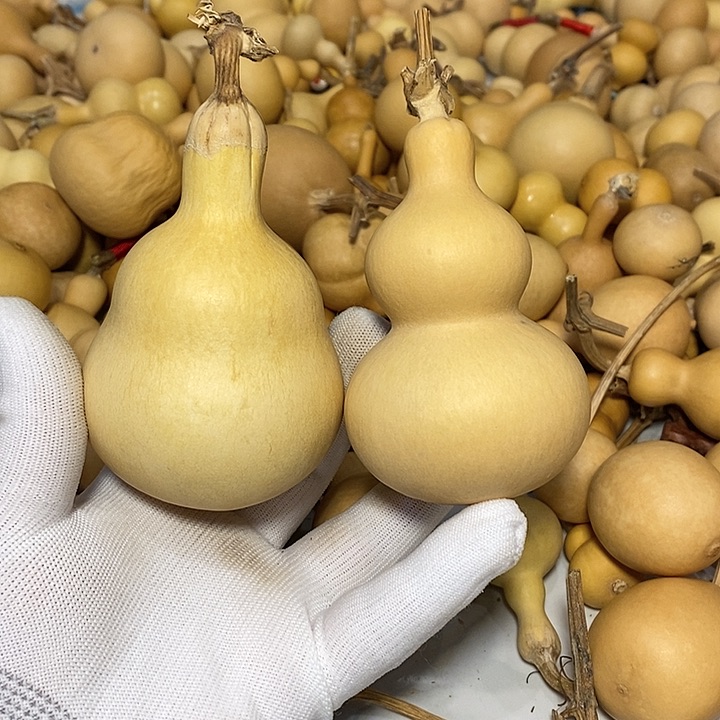 俺***人精品葫芦手把葫芦17