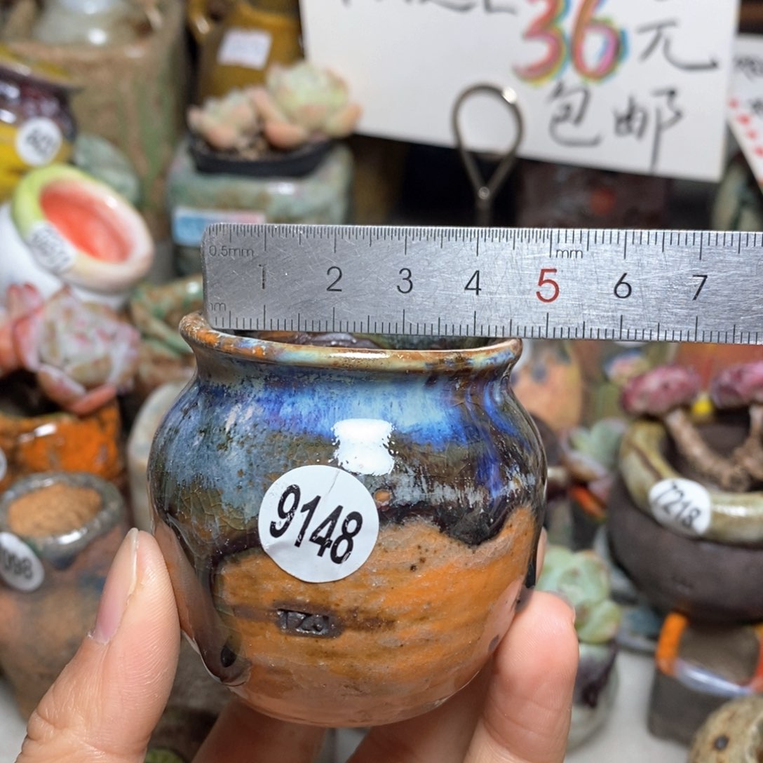 花盆拍5送一个小礼物