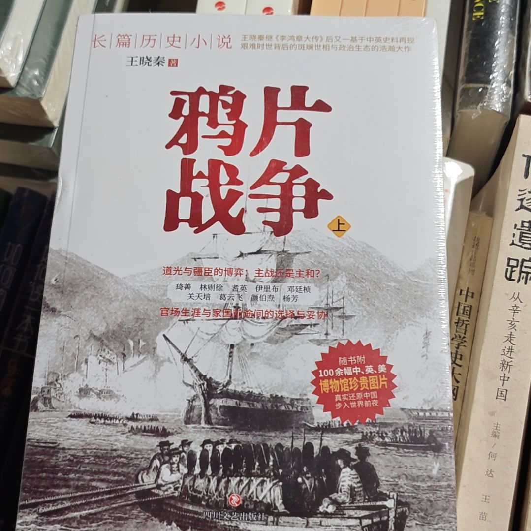 雅什么什么战争两本一套塑封