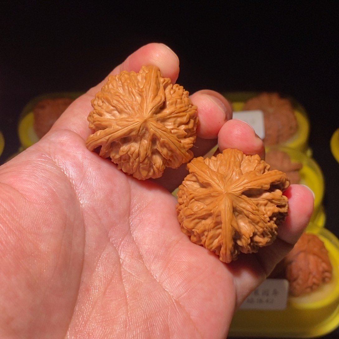 39御龙粗筋正球奔精品对有修