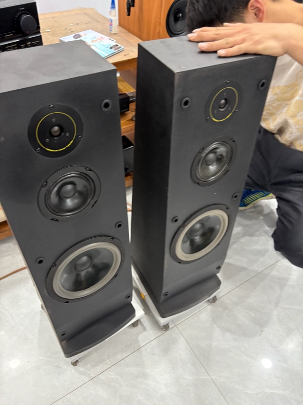 落地音箱，运费自理，不支持七天无理由退换货