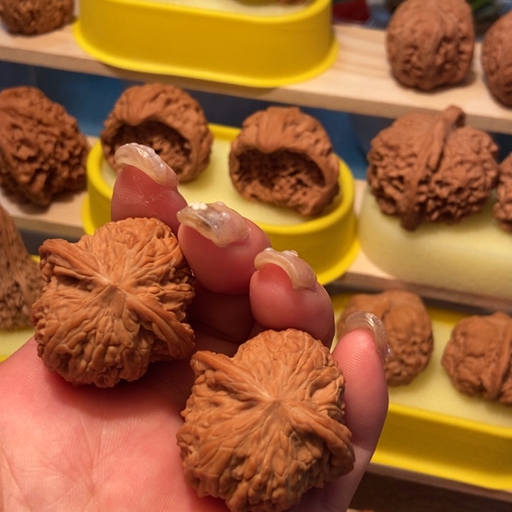 官方网站发布磨盘