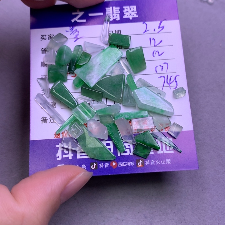 翡翠颈饰未镶嵌墨***杏