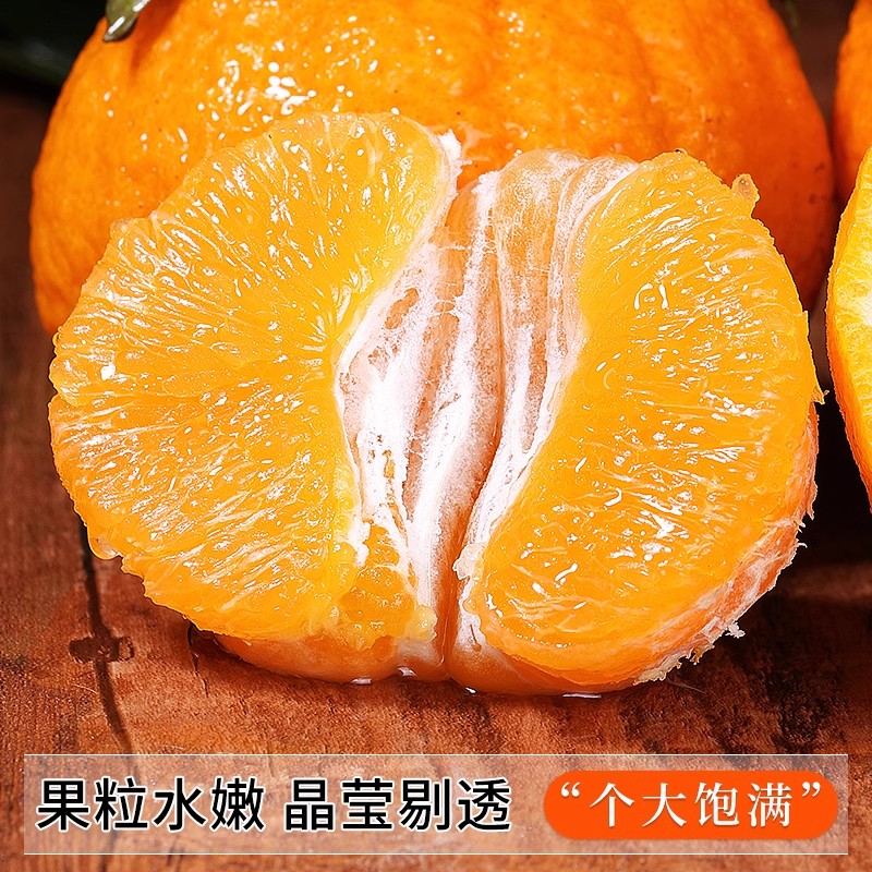顺丰包邮不知火丑橘耙耙柑四川蒲江应季当季现摘新鲜脆甜水果橘子