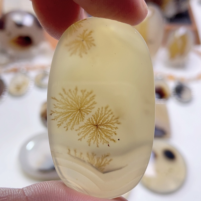 【闪购商品】玛瑙/玉髓颈饰未镶嵌