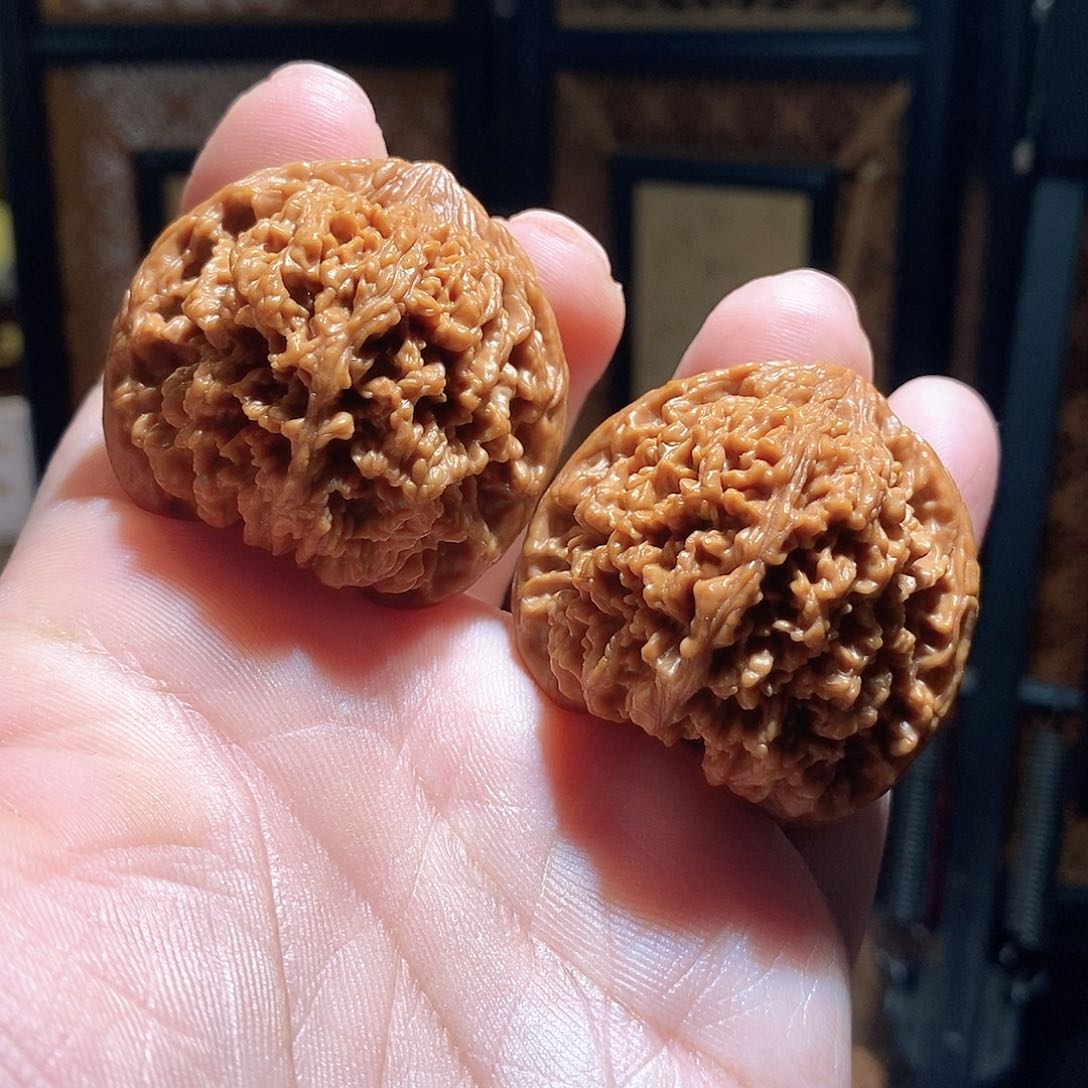 文玩核桃把件40满天星全品