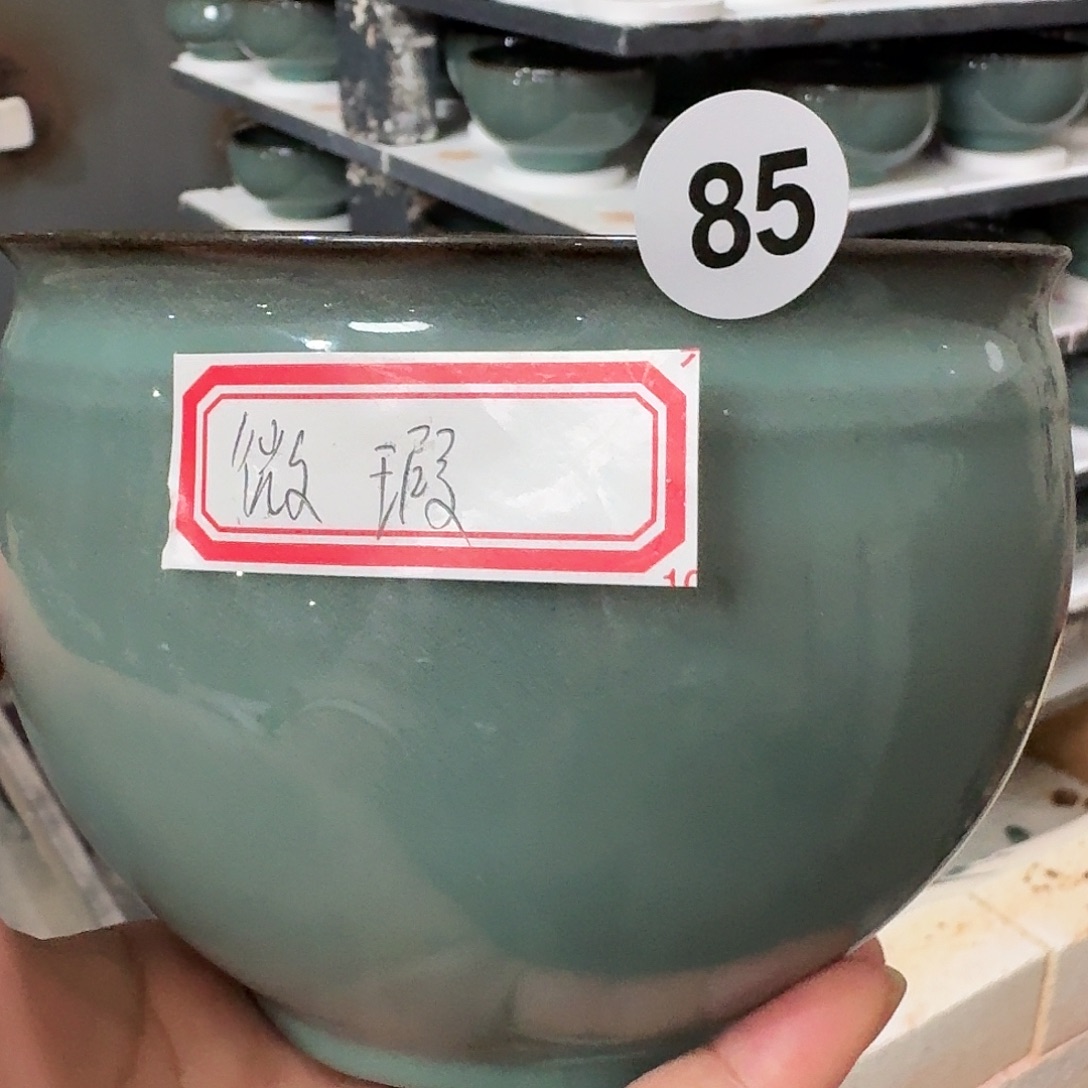 哈哈哈哈不错哈哈哈