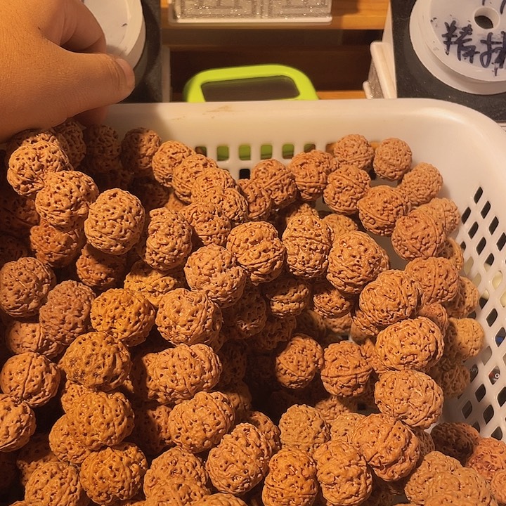 强***强手串金刚菩提我是