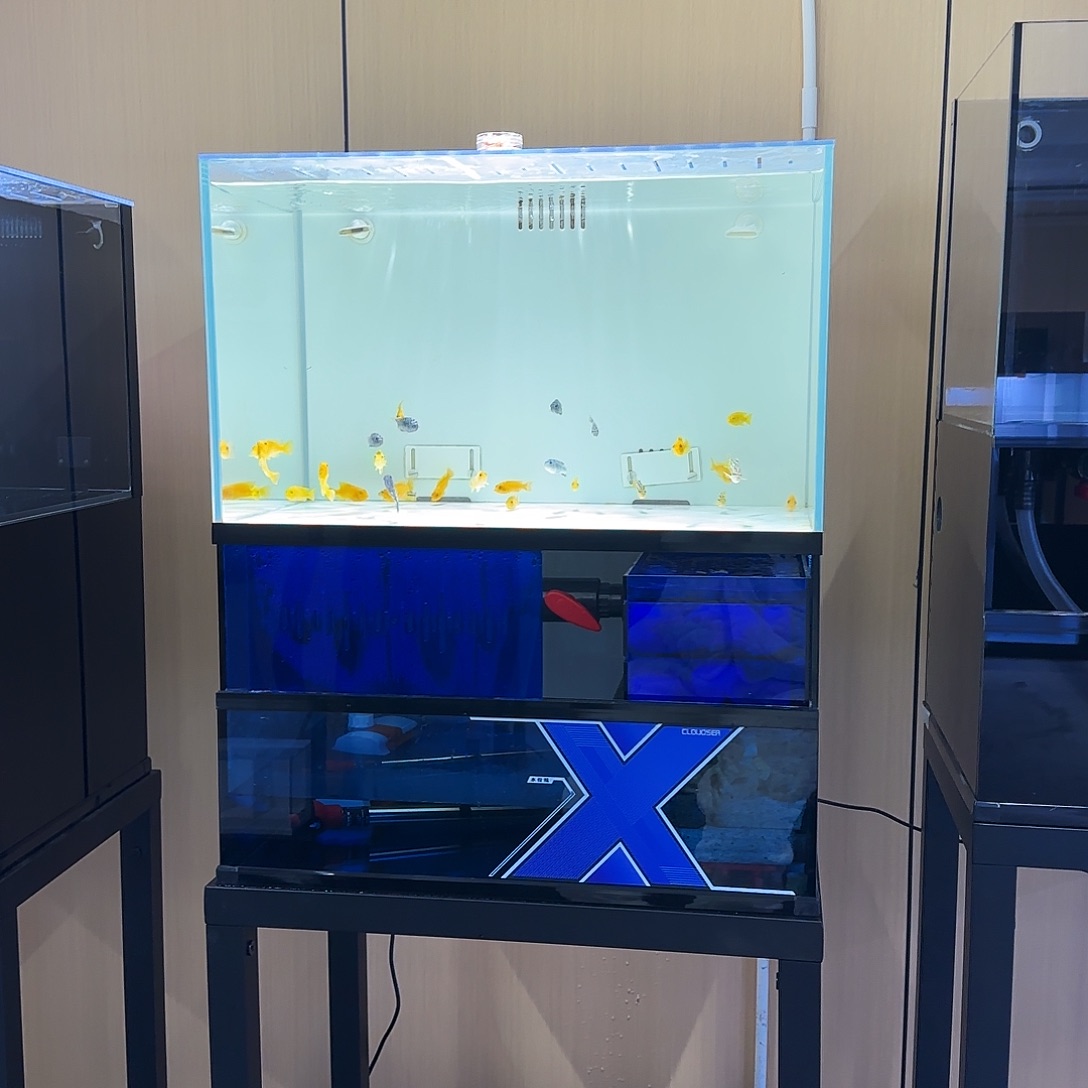 玻璃60✖️40✖️72上缸黑波下缸蓝波