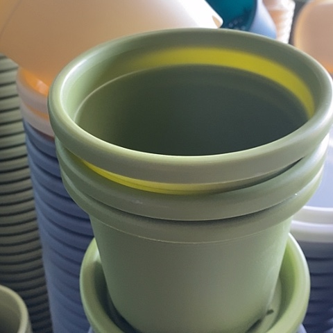 树脂四季1号果绿无托10个