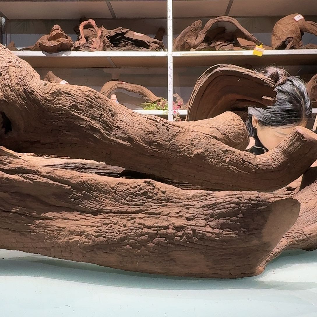 倍褚沉木不包损必褪色新**16668打包