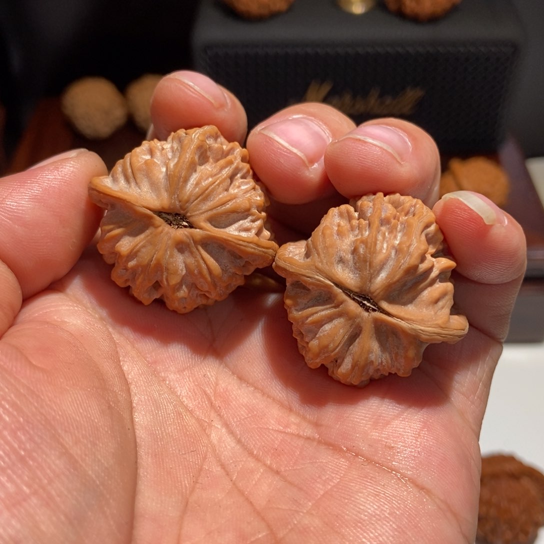 手串/手链核桃牛**天天地狮子头34