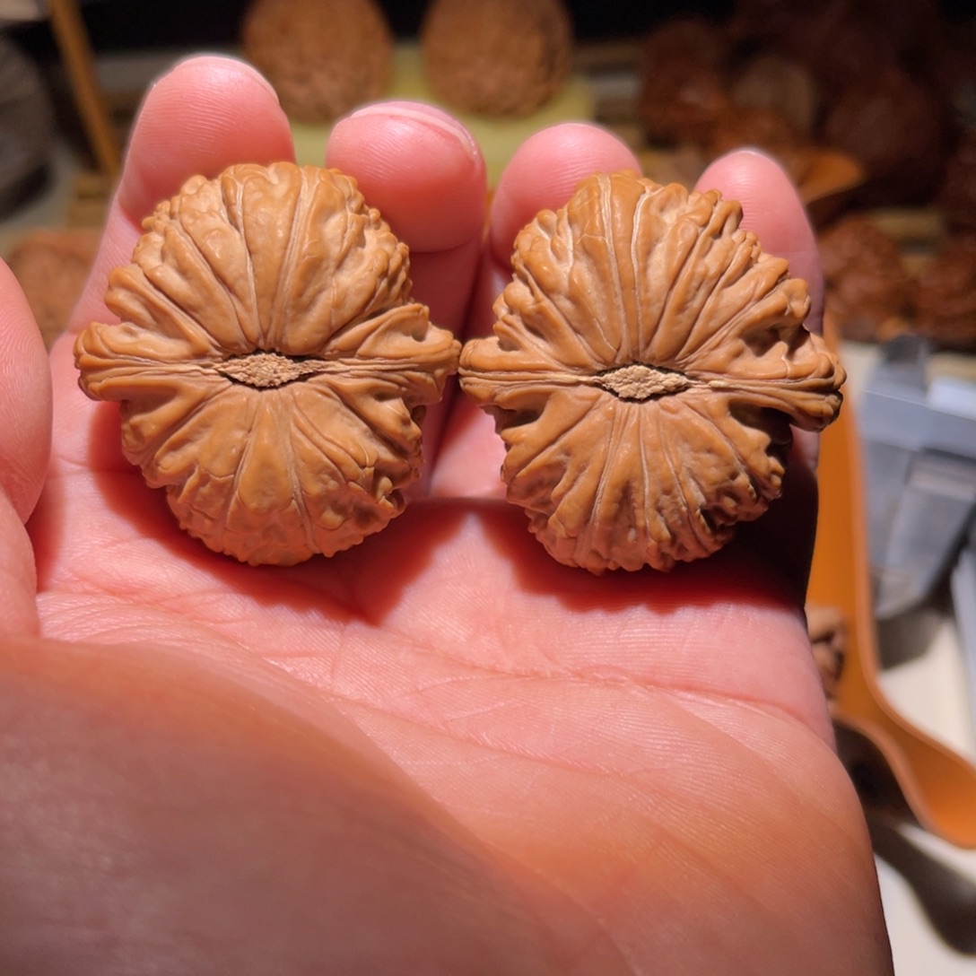 把件文玩核桃41卡姿兰球白