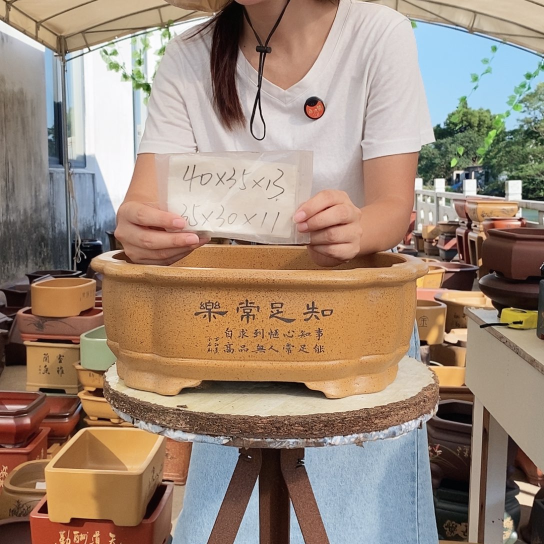 花盆紫砂紫砂花盆