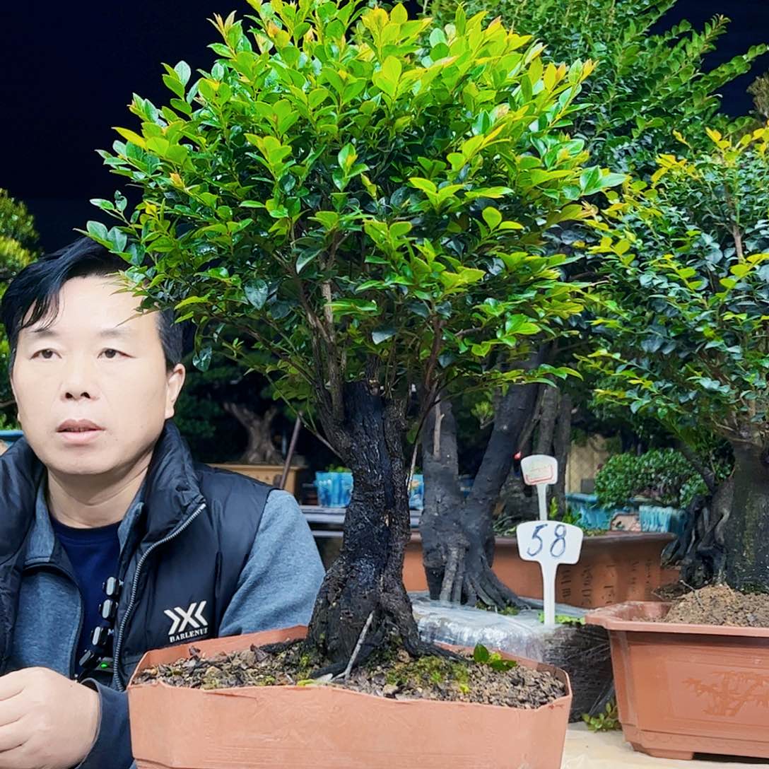 以实际为准好12345678