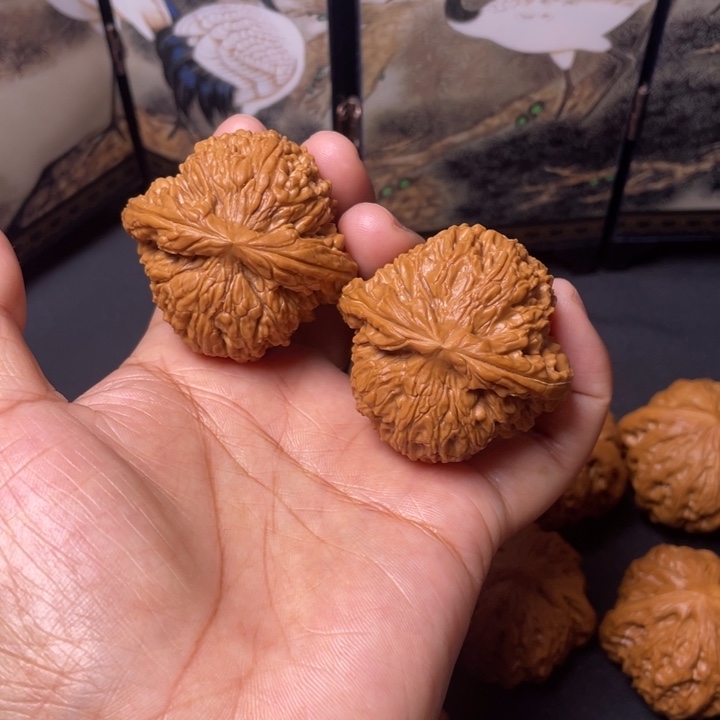 把件文玩核桃43.5白狮子