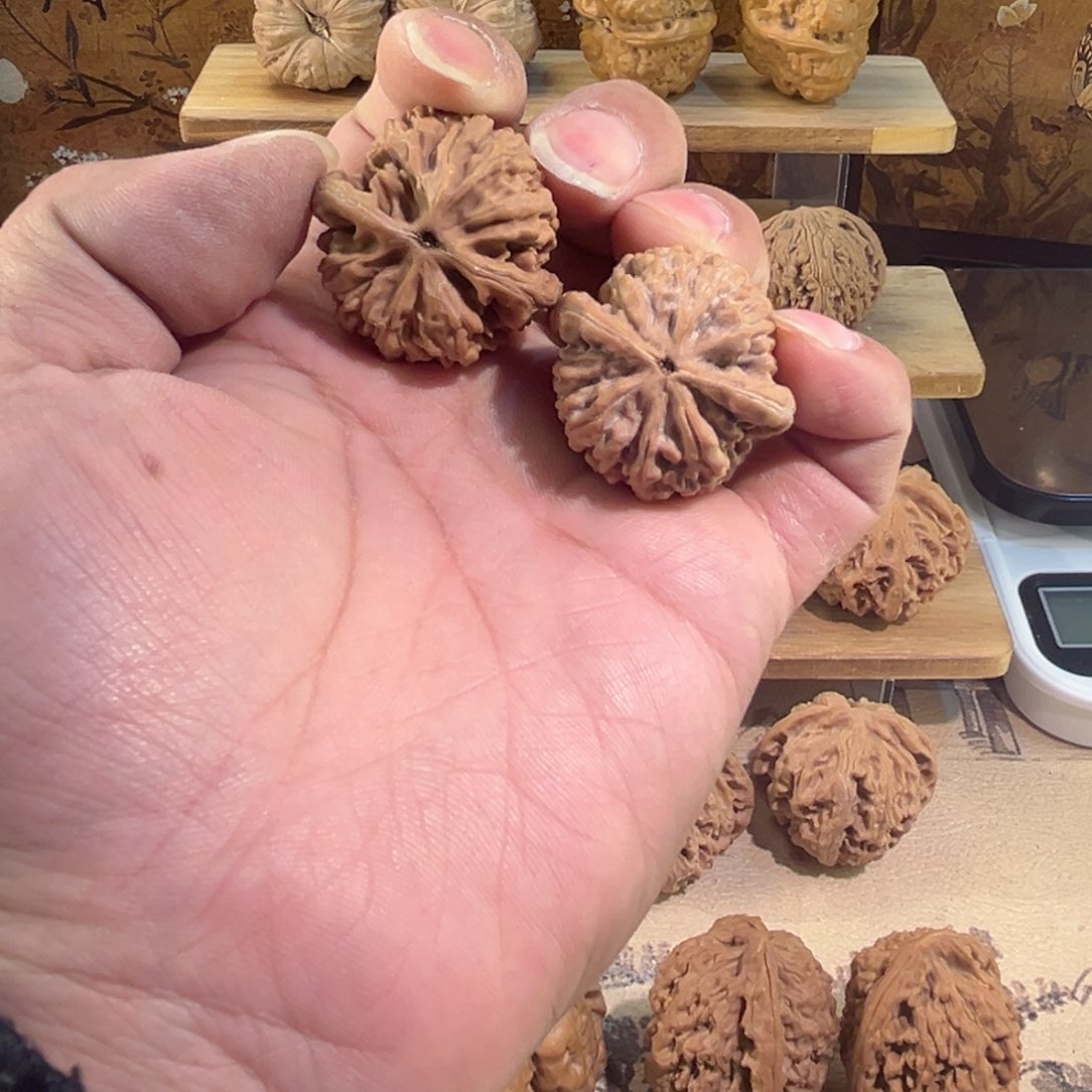 把件文玩核桃用****9