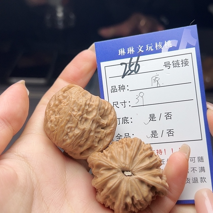 文玩核桃吊坠核桃树256