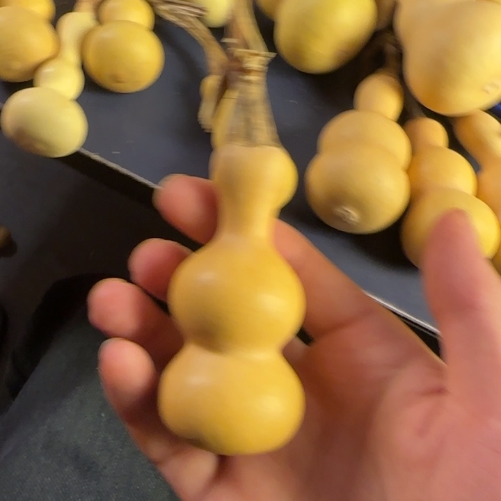 一***人大叶紫檀（黑酸枝木类）
