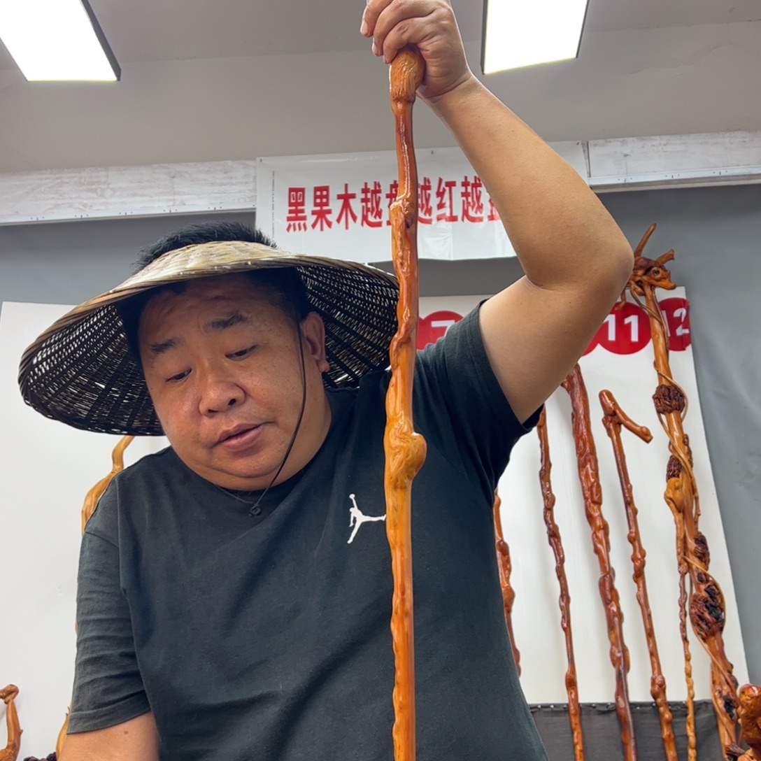风***扬黑果木其他黑果木166
