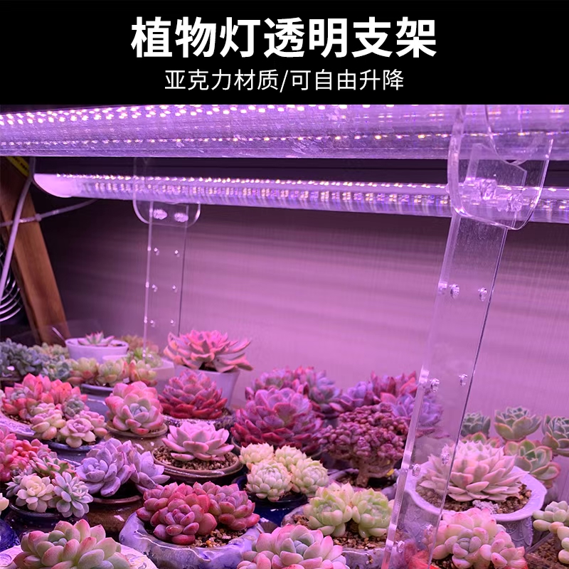 八面山多肉补光灯支架亚克力灯架全铝筒灯支架LED植物灯支架