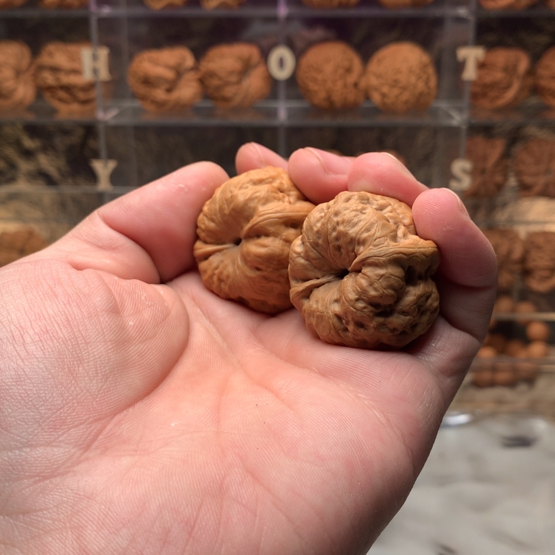 Z***Y吊坠文玩核桃古蟾6666888