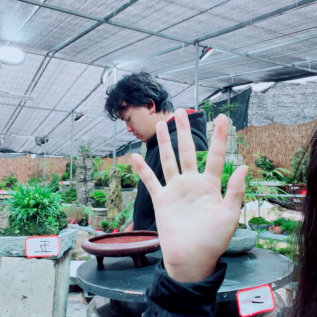 用***户当前无花栽培后可以开花