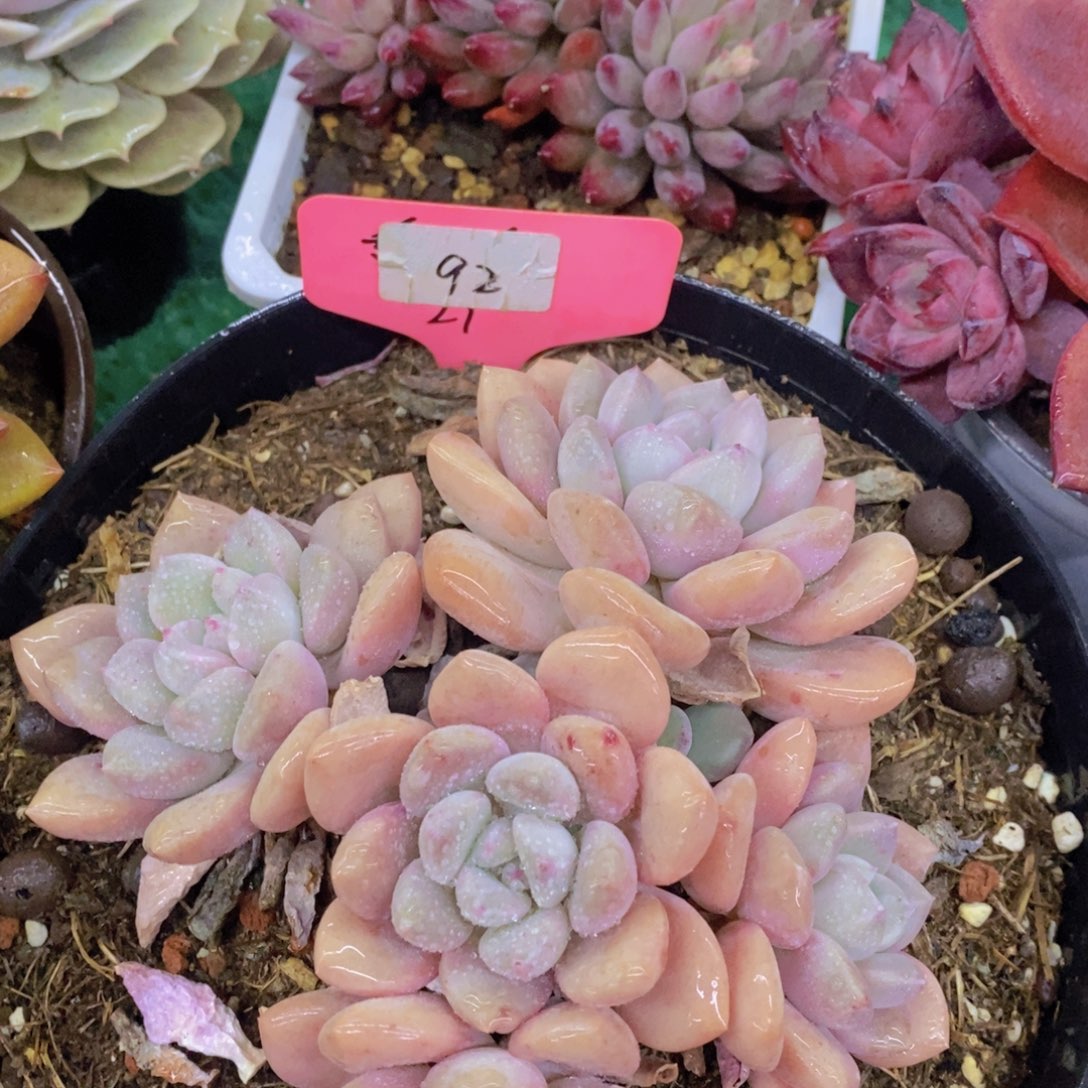 清货转场，一单包邮，满5宋1