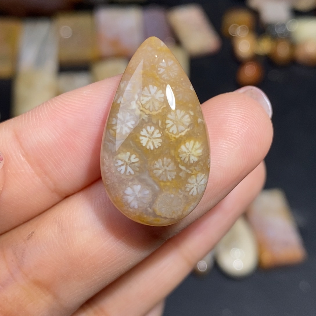 【闪购商品】硅化玉珊瑚玉未镶嵌