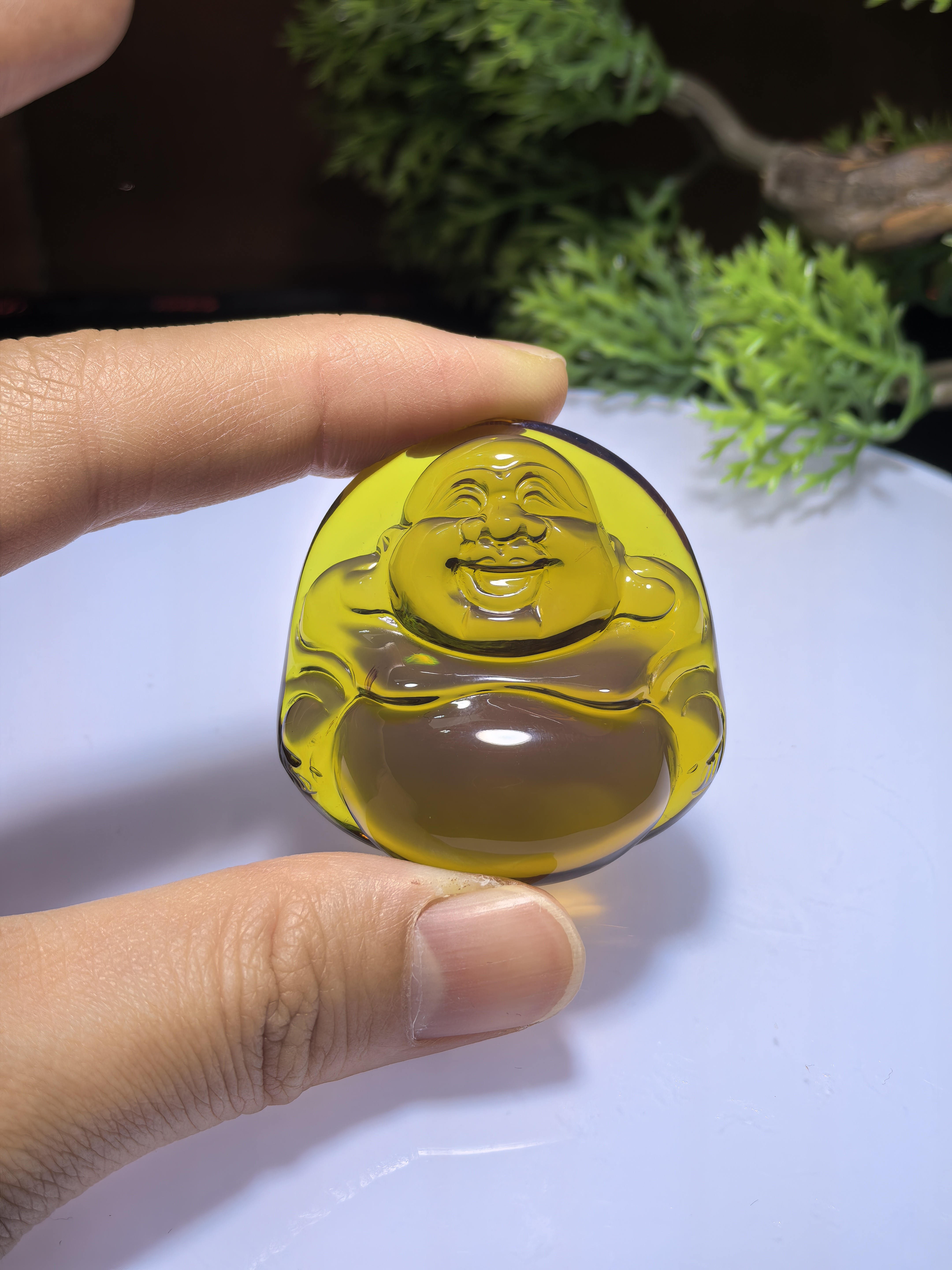 绿茶纯净水佛公（18.7）