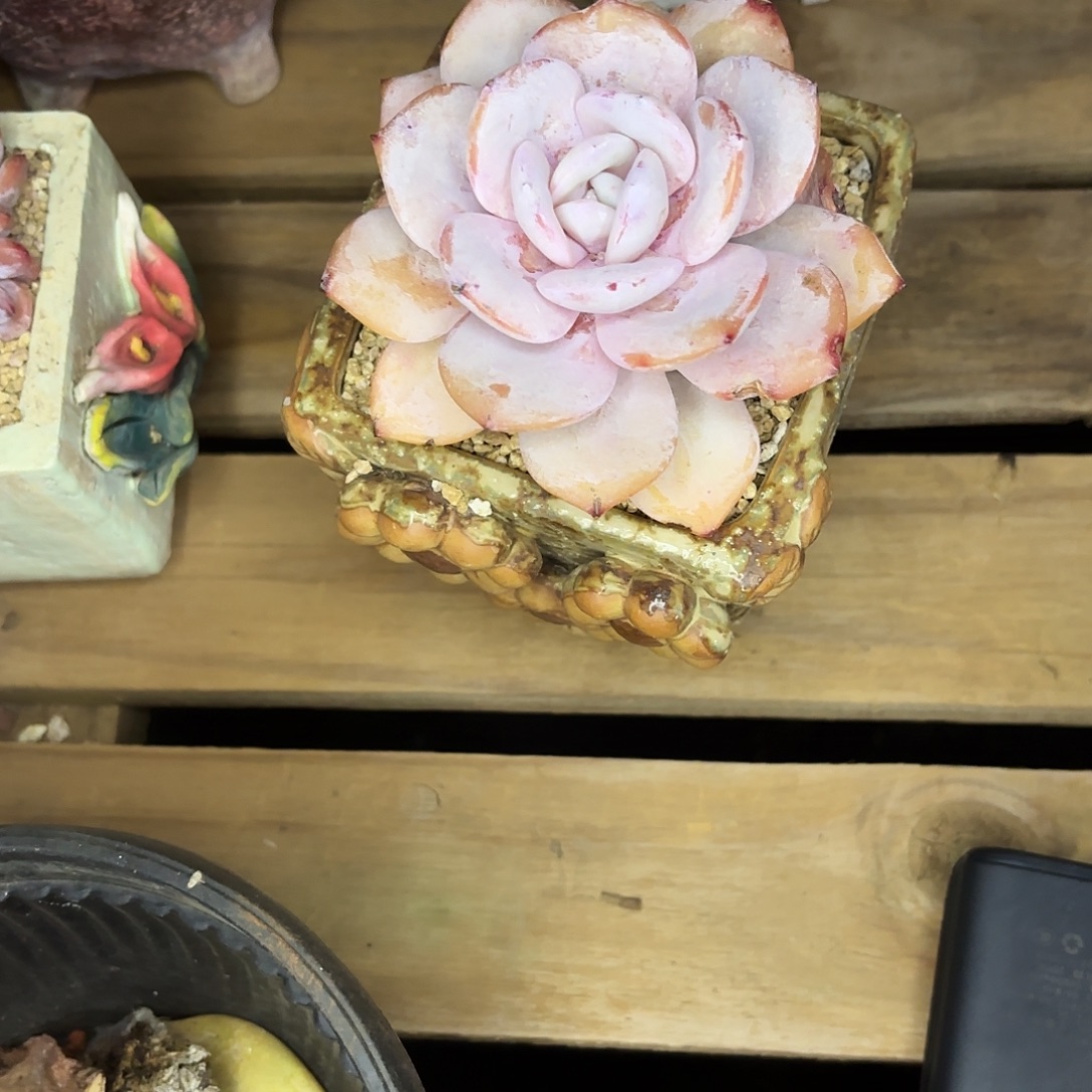 颜***兮啦啦啦啦啦啦啦啦啦啦啦