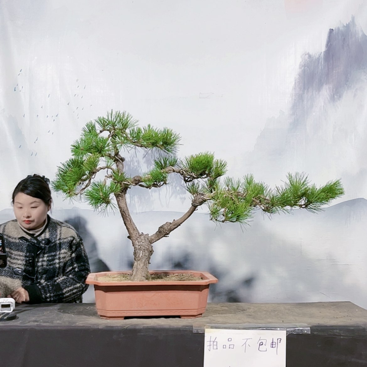 【闪购商品】无花朵运费到付