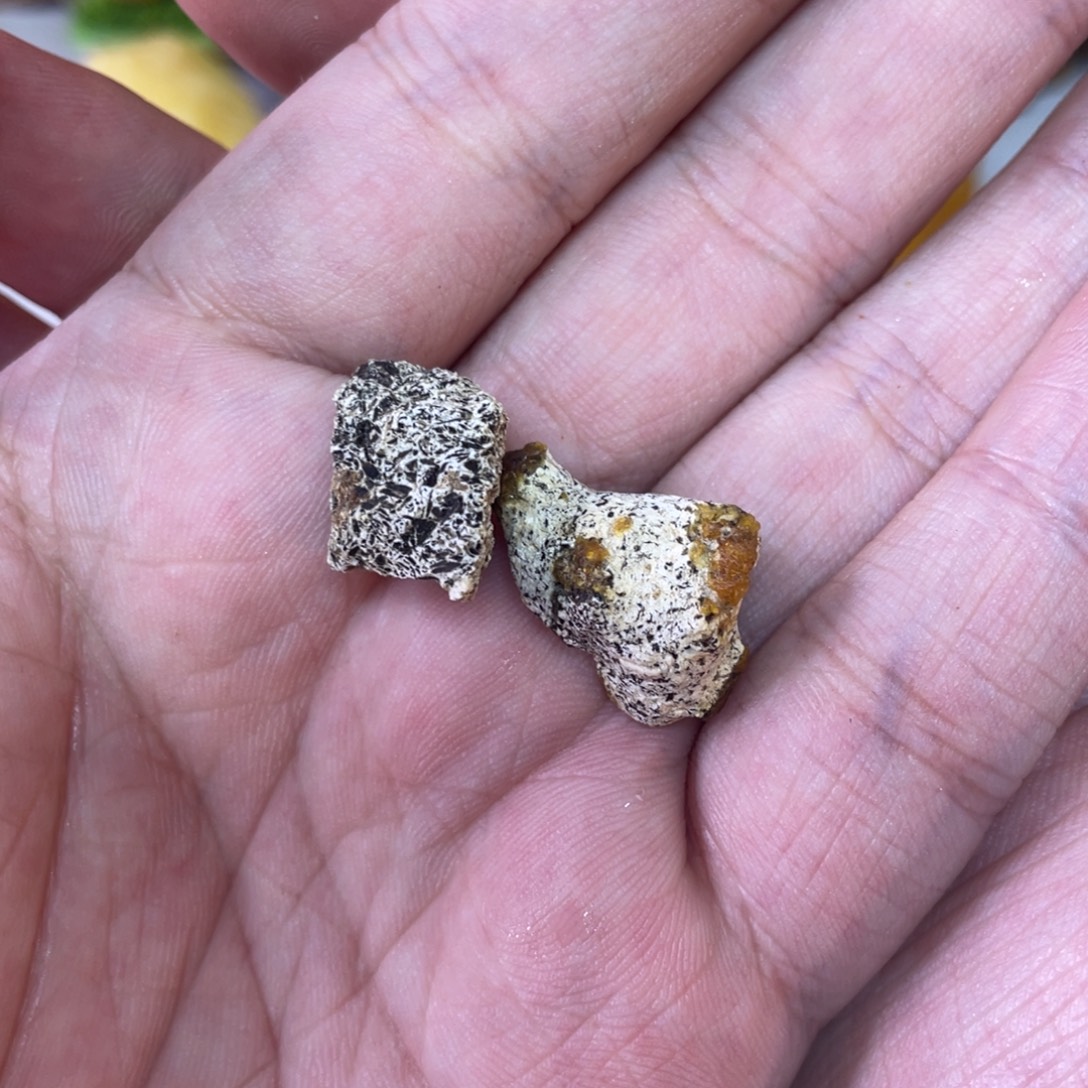 天***子定制琥珀天然琥珀