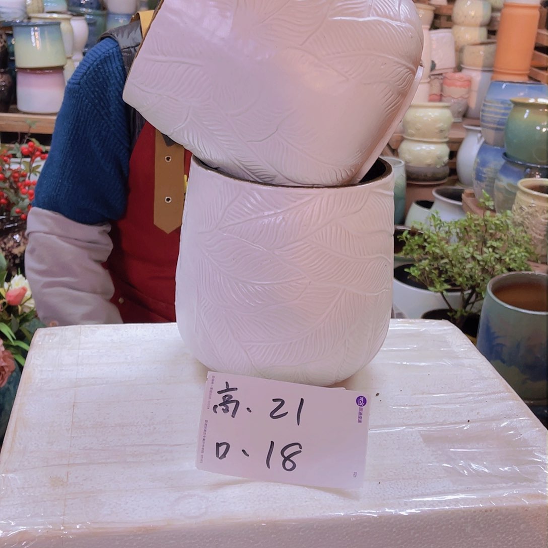 红陶高度21口径18