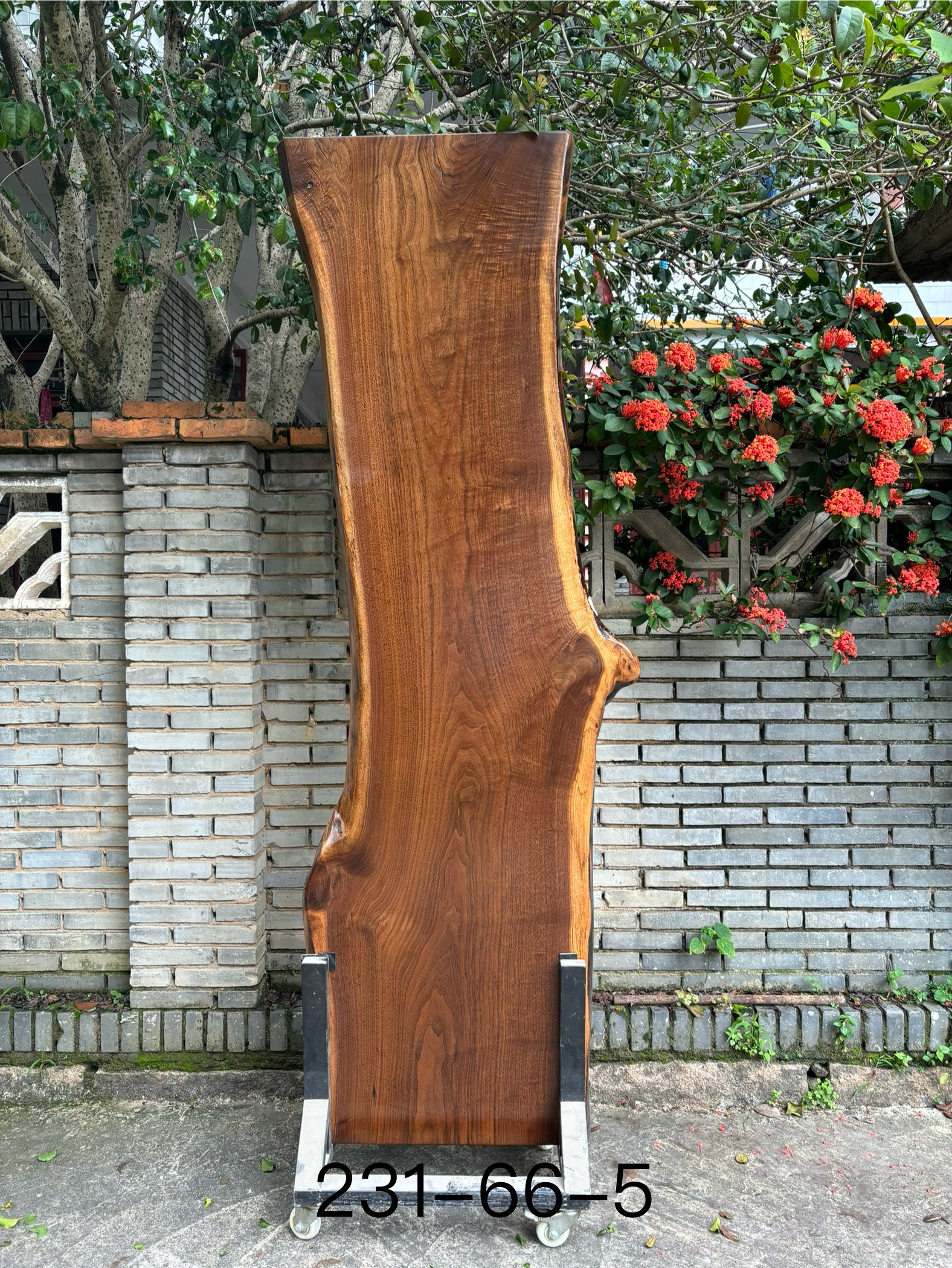 北美黑胡桃大板 自然边 231*66*5
