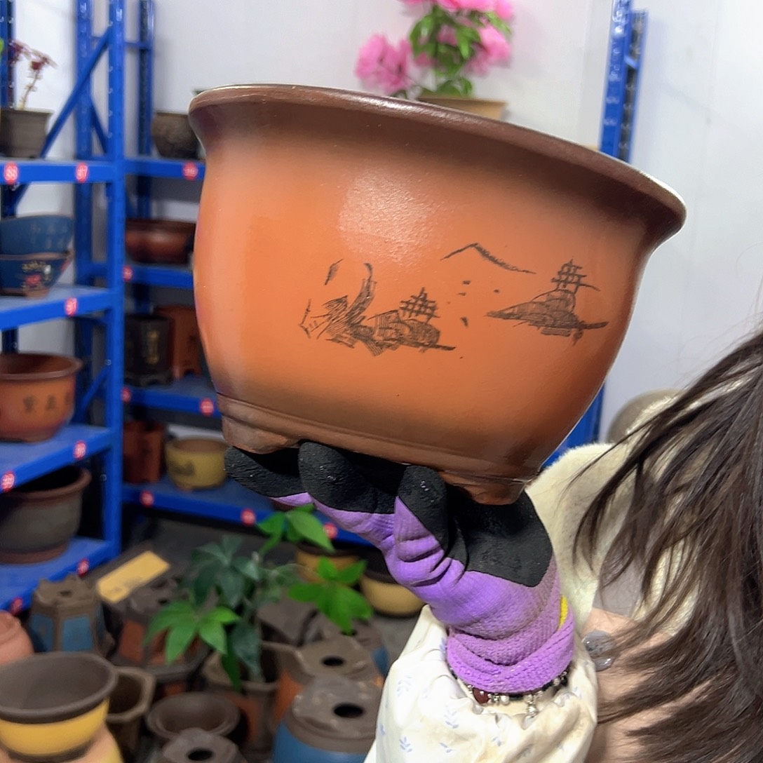 20紫气东来花盆花盆花盆