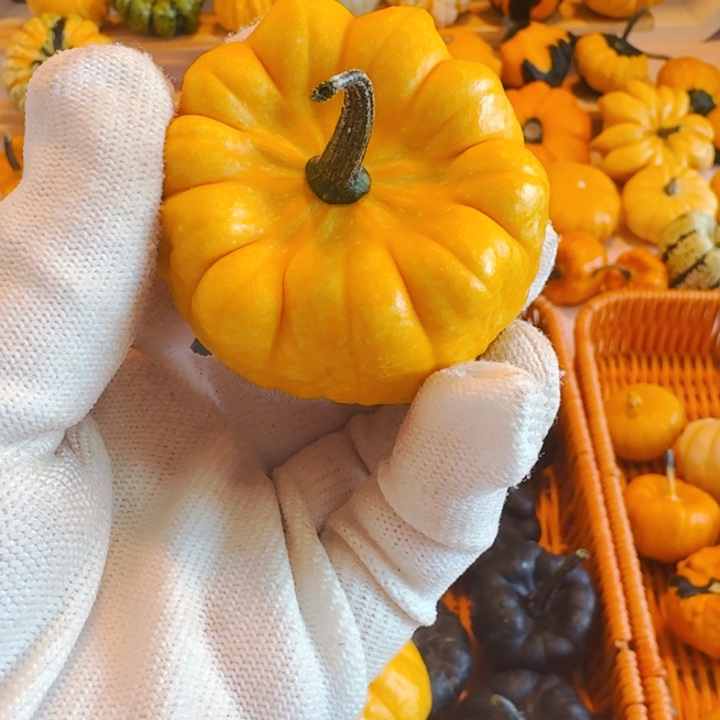 王*墨西哥七彩葫芦青皮