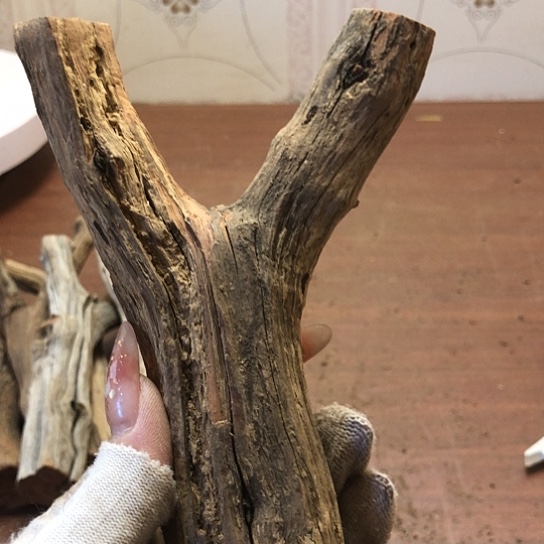 大果紫檀（缅甸花梨）老*